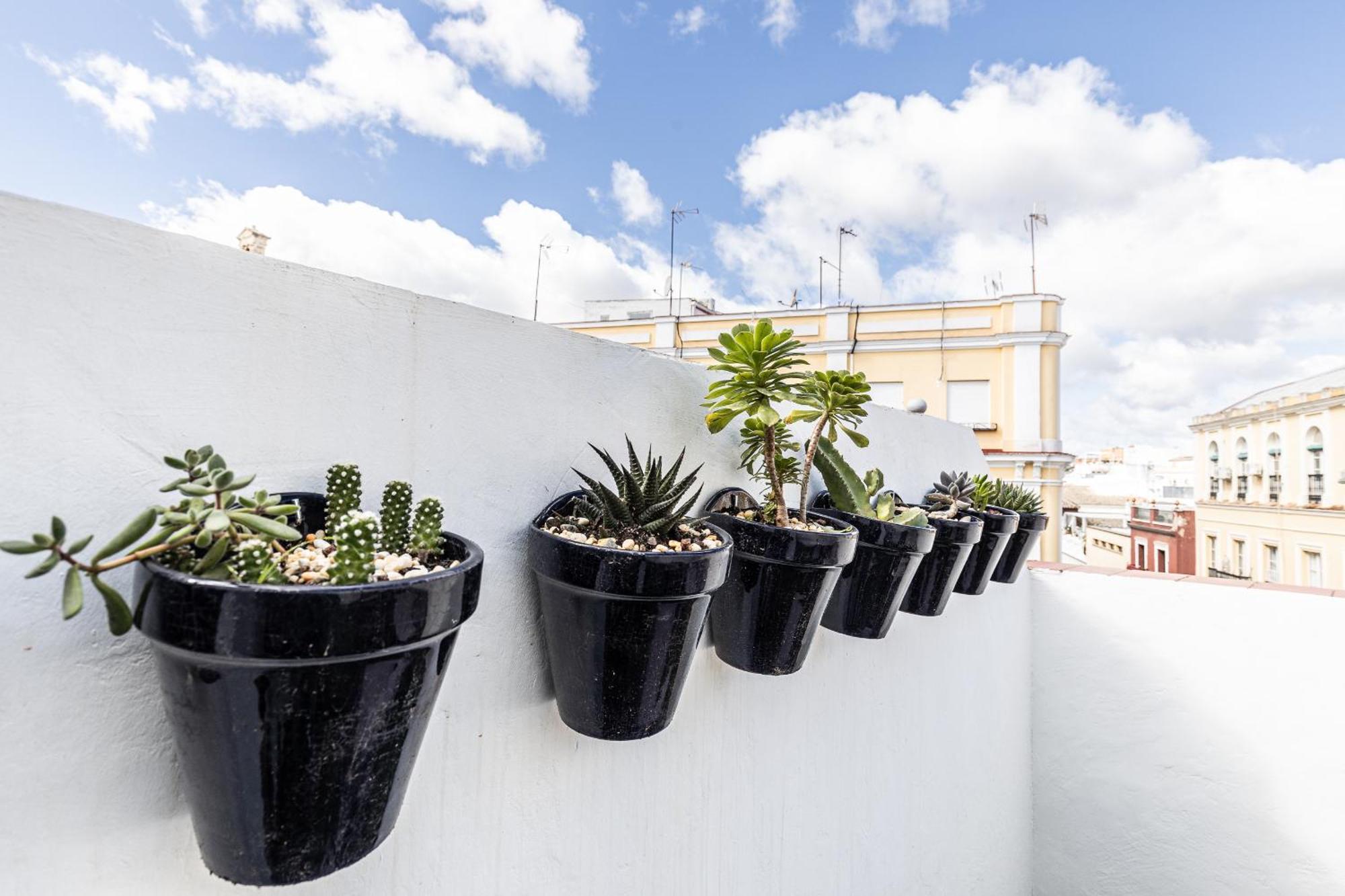 Appartement Bonito Duplex Con Terraza Calle Feria