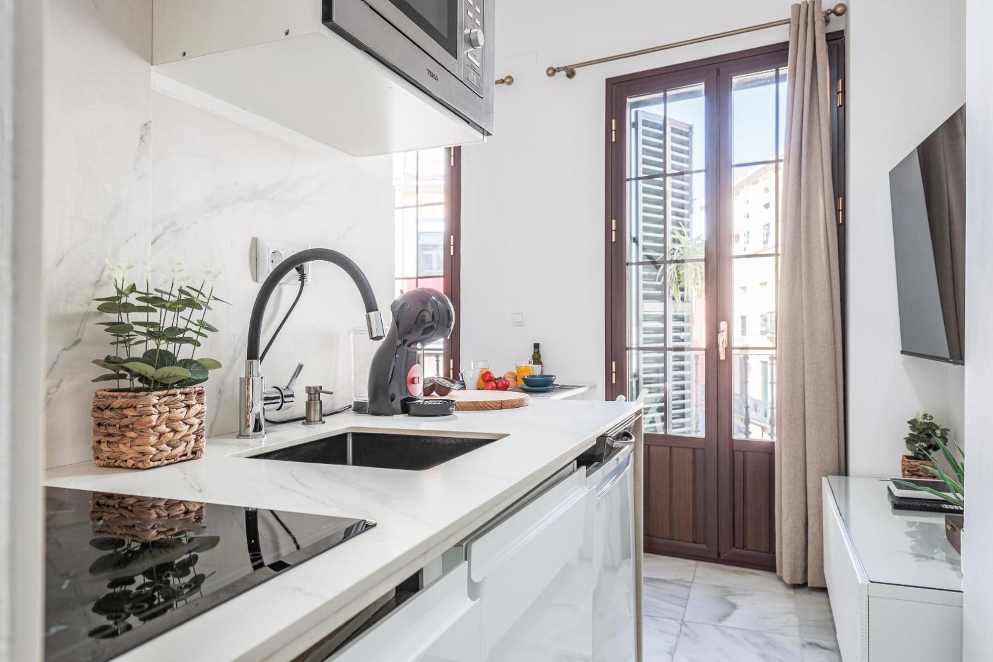 Bonito Duplex Con Terraza Calle Feria Appartement *