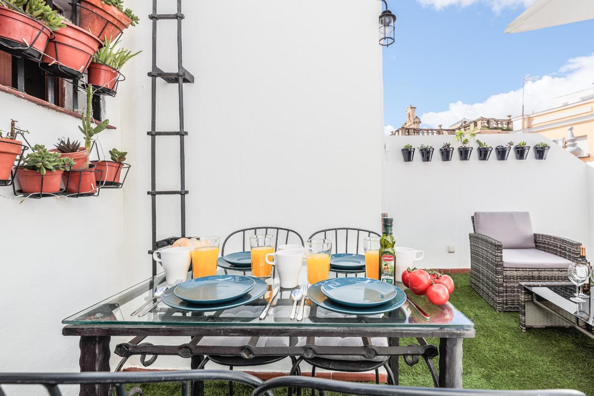 Bonito Duplex Con Terraza Calle Feria